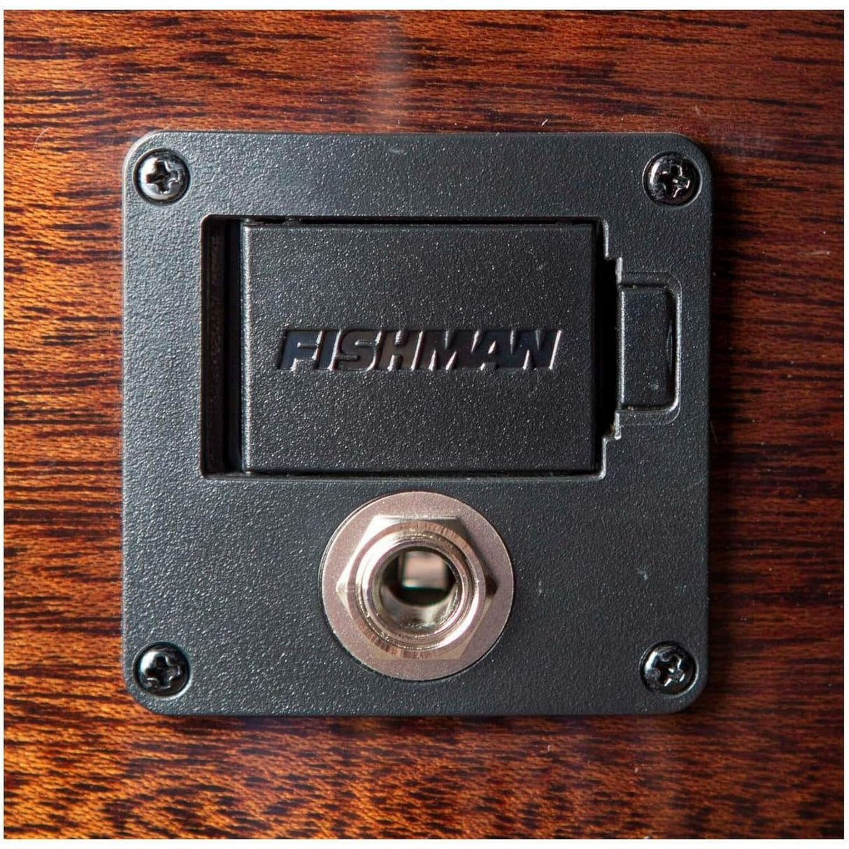 Breedlove Performer Pro Concert Aged Toner CE Acoustic Electric Guitar