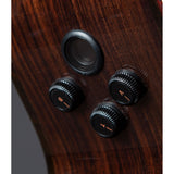 Breedlove Performer Pro Concert Thinline Aged Toner CE Acoustic Electric Guitar, Rosewood Finish