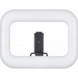Godox Litemons SR20R Portable RGB LED Light Panel