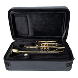 Gator GL-CORNET-23 Adagio Series Shaped EPS Polyfoam Lightweight Case for Cornet