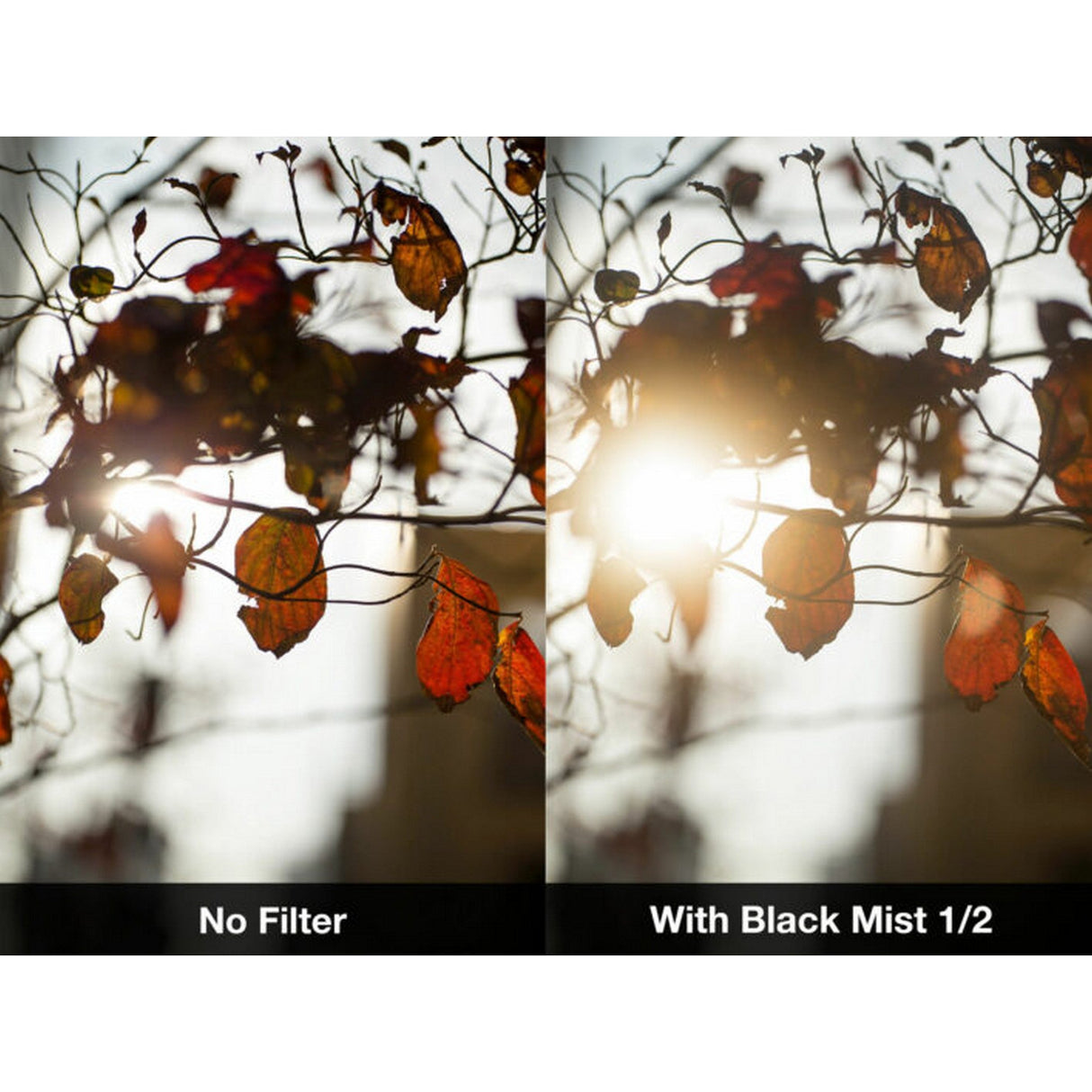 NiSi 77mm Circular Black Mist 1/2 Filter