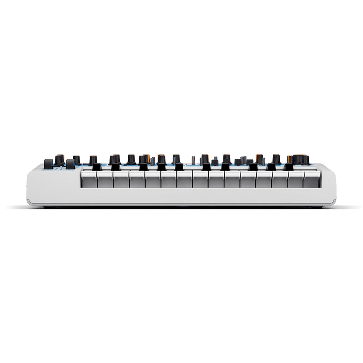 Novation Bass Station II Swifty Edition Paraphonic Analog Synthesizer