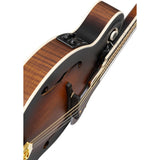 Ortega Guitars RMFE100AVO F Style Mandolin