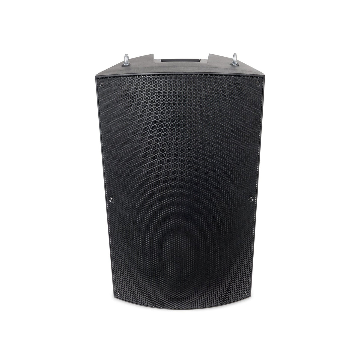 Pure Resonance Audio 15-Inch 600W Loudspeaker, Single Unit