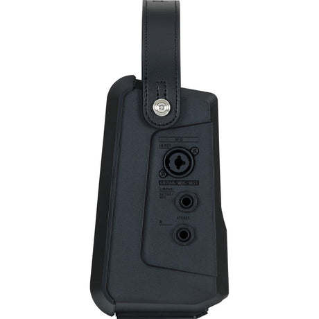 Roland CUBE Street II portable amp for musicians