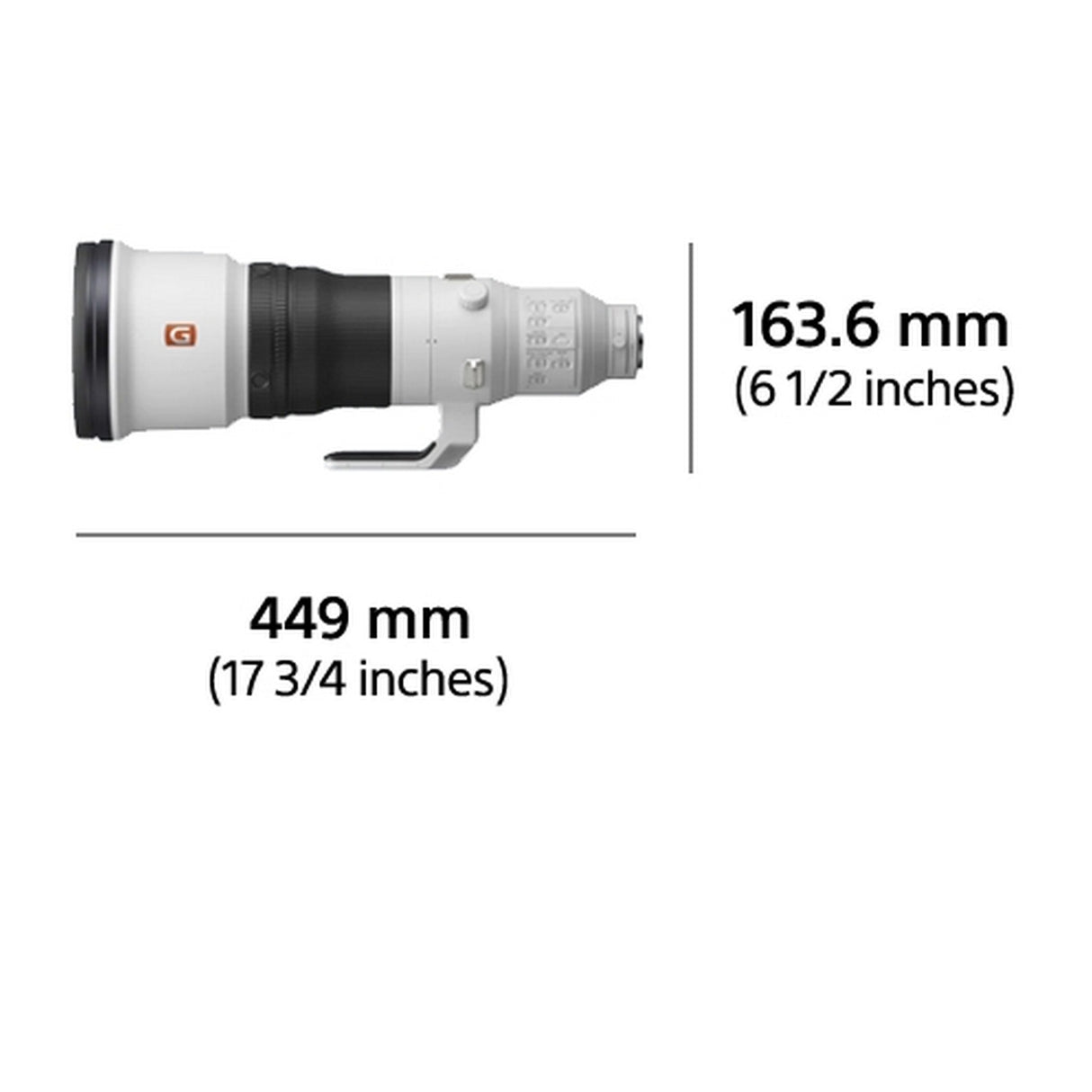 Sony FE 600mm F4 GM OSS Full-Frame Super-Telephoto Prime G Master Lens with Optical SteadyShot