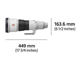 Sony FE 600mm F4 GM OSS Full-Frame Super-Telephoto Prime G Master Lens with Optical SteadyShot