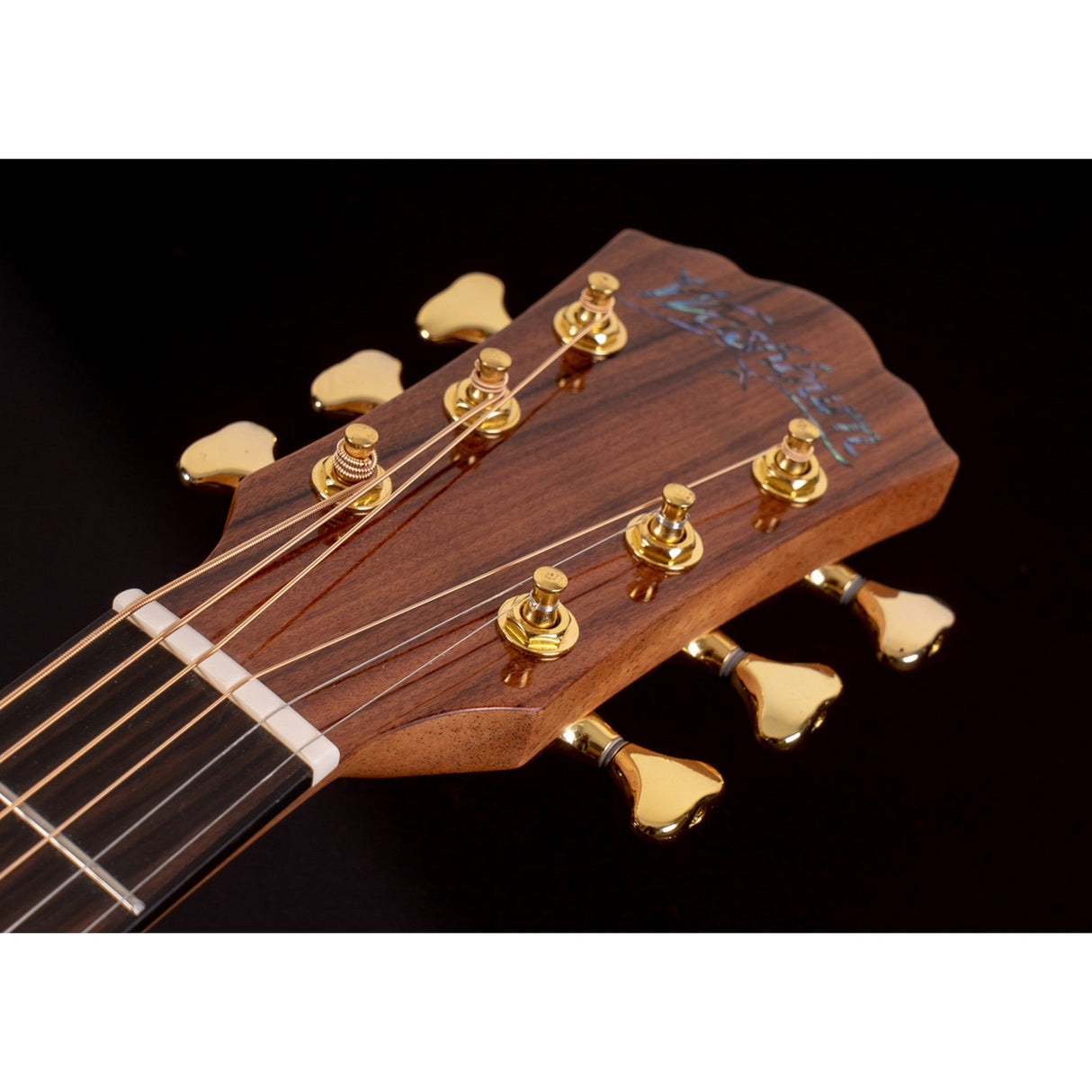 Washburn Bella Tono Elegante S24S 6-String Acoustic Guitar