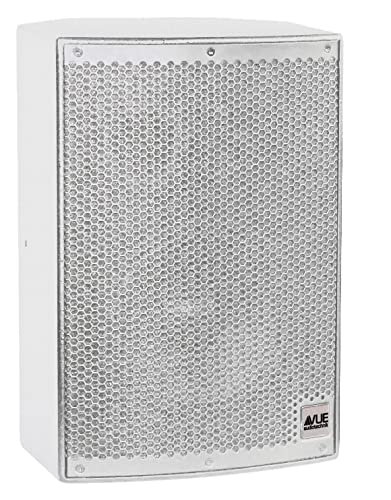 VUE Audiotechnik i-8tw 8-Inch 2-Way Passive Loudspeaker, White, Single Unit