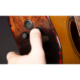 Breedlove Wildwood Pro Concerto Suede CE Acoustic-Electric Guitar, African Mahogany Finish