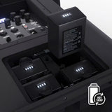LD Systems ANNY 12 Battery-Powered Bluetooth PA System, 12-Inch