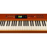 StudioLogic Numa X Piano GT SE 88-Note Special Edition Stage Piano