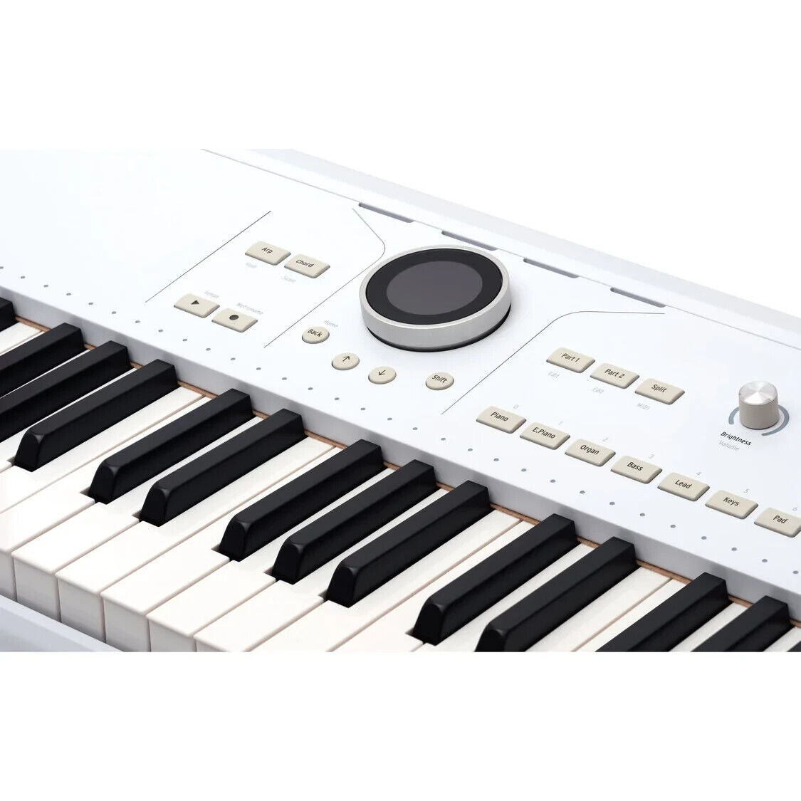 Arturia Astrolab 61-Key Stage Keyboard with 1300 Onboard Presets