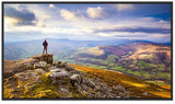 Sharp NEC PN-E439 43-Inch 4K UHD Commercial Display