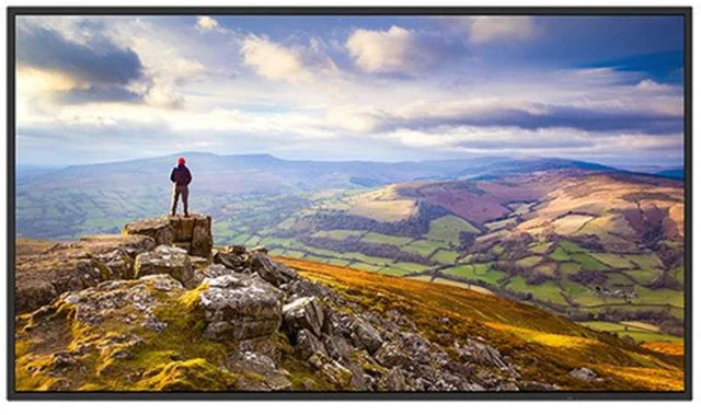 Sharp NEC PN-E439 43-Inch 4K UHD Commercial Display