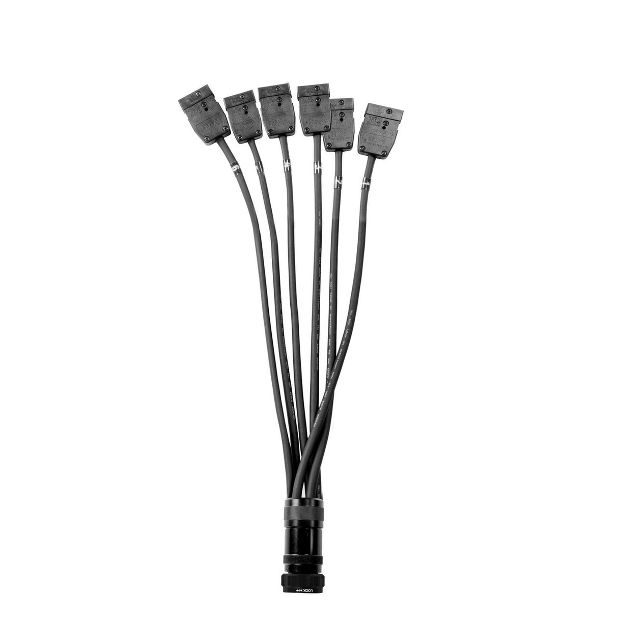 Elite Core 19 Pin Soco Breakout to Stage Pin Female Lighting Power Cable with Phase 3 Spider Connector 5 Foot