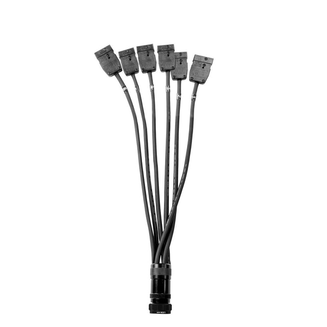 Elite Core 19 Pin Soco Breakout to Stage Pin Female Lighting Power Cable with Phase 3 Spider Connector 5 Foot