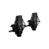 sE Electronics SE4400 P Multi-Pattern Large Diaphragm Vintage Microphone Matched Pair