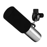 Earthworks ETHOS XLR Broadcasting Condenser Microphone, Stainless Steel