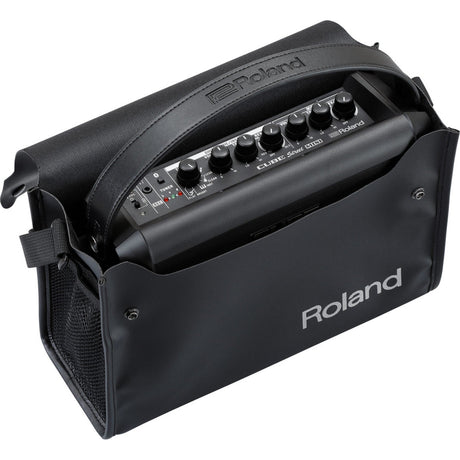 Roland CUBE Street II portable amp for musicians