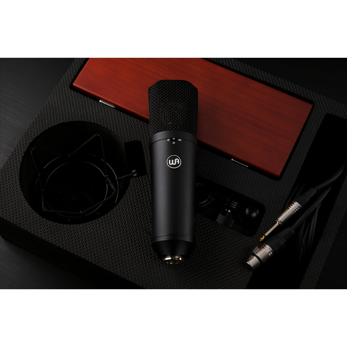 Warm Audio WA-87 R2 FET Condenser Microphone