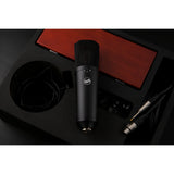 Warm Audio WA-87 R2 FET Condenser Microphone