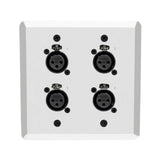 SoundTools WallCAT 2 Gang Wall Panel with 4 Female XLR to RJ45 Silver