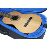 Reunion Blues RBCC3 RB Continental Voyager Small Body Acoustic Case