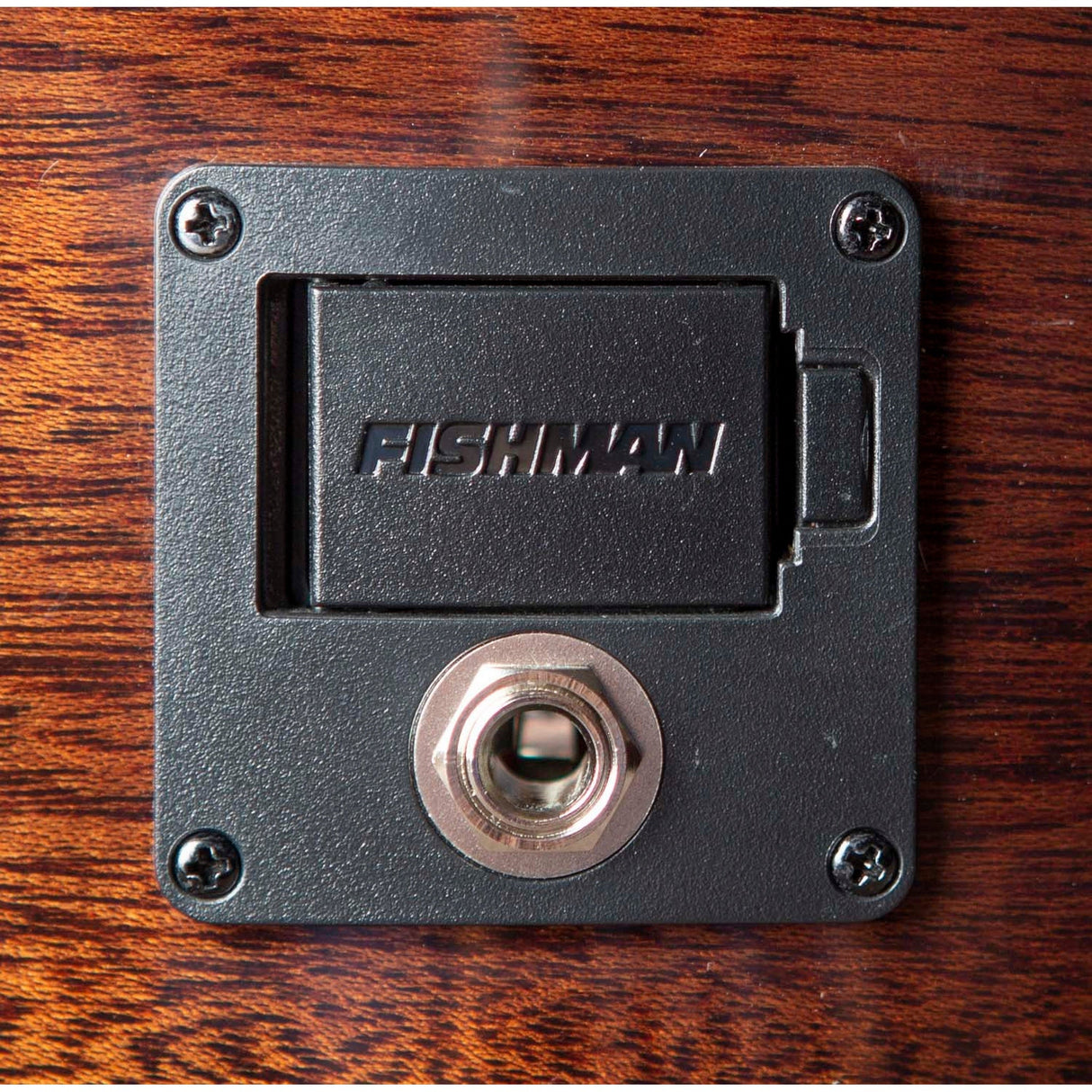 Breedlove Wildwood Pro Concerto Suede CE Acoustic-Electric Guitar, African Mahogany Finish