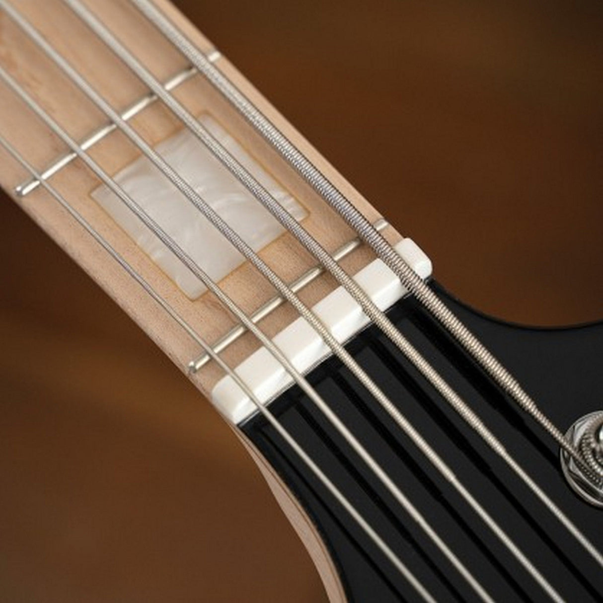 Cort Elrick NJS 5 String Bass Guitar