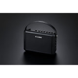 Roland CUBE Street II mini amplifier for busking