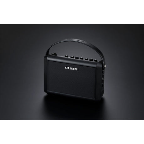 Roland CUBE Street II mini amplifier for busking