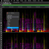 Steinberg SpectraLayers Pro 12 Advanced Spectral Audio Editing Software