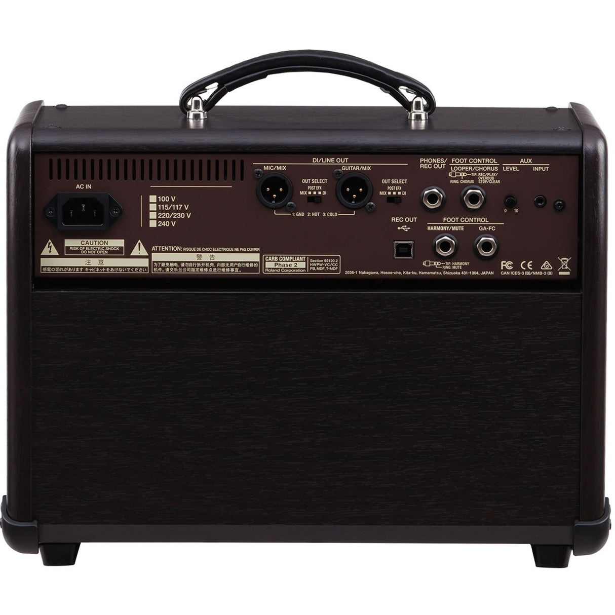 BOSS - BOSS Acoustic Singer Live 60W Acoustic Amplifier with Harmonizer - ACS-LIVE