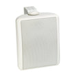Lowell OS-100TW 6.5 Inch 100W Indoor/Outdoor Speaker White
