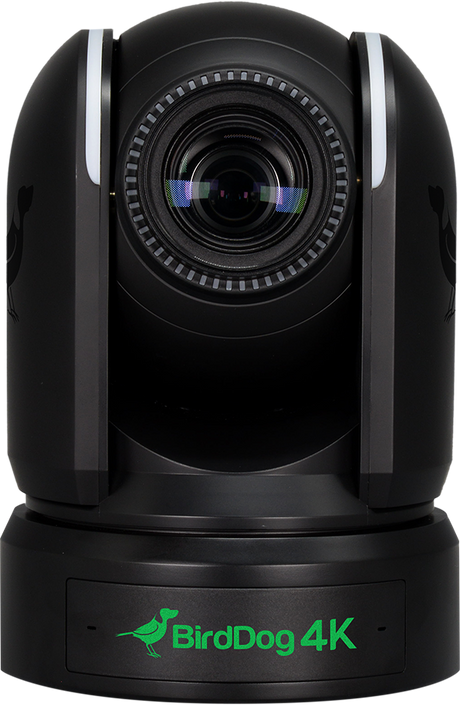 BirdDog P4K broadcast PTZ camera with dual 6G-SDI and HDMI 2.0 outputs