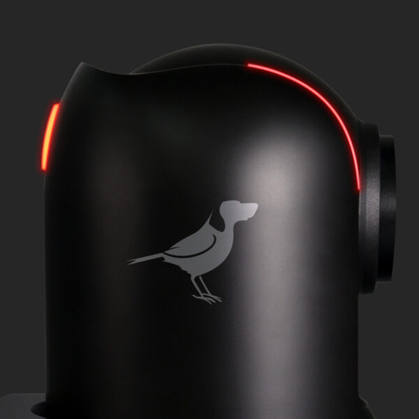 BirdDog P4K professional PTZ camera black with Sony Exmor R sensor