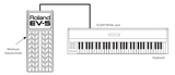 BOSS EV-5 compact expression pedal connection to keyboard