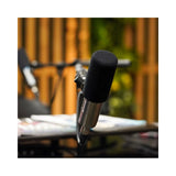 Earthworks ETHOS B XLR Broadcasting Condenser Microphone, Black