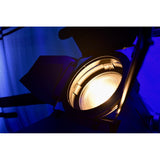 Gamma LED Vision Rosé XT 350Z VW Variable White Fresnel Spotlight