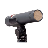 Neumann SKM 184 MT Stereo Set includes Two Each: KM184, SG21BK, WNS100 in One Woodbox Matte Black