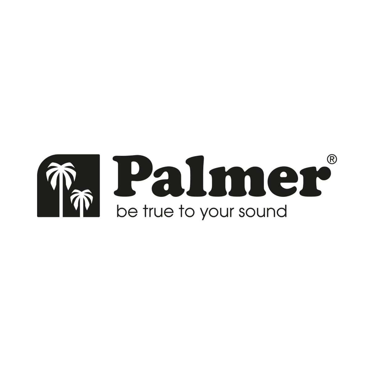 Palmer W15VDCUS US 15v Adapter for PMONICON-L