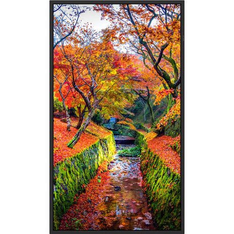 Sharp PN-E329 32-Inch Full HD Commercial Display