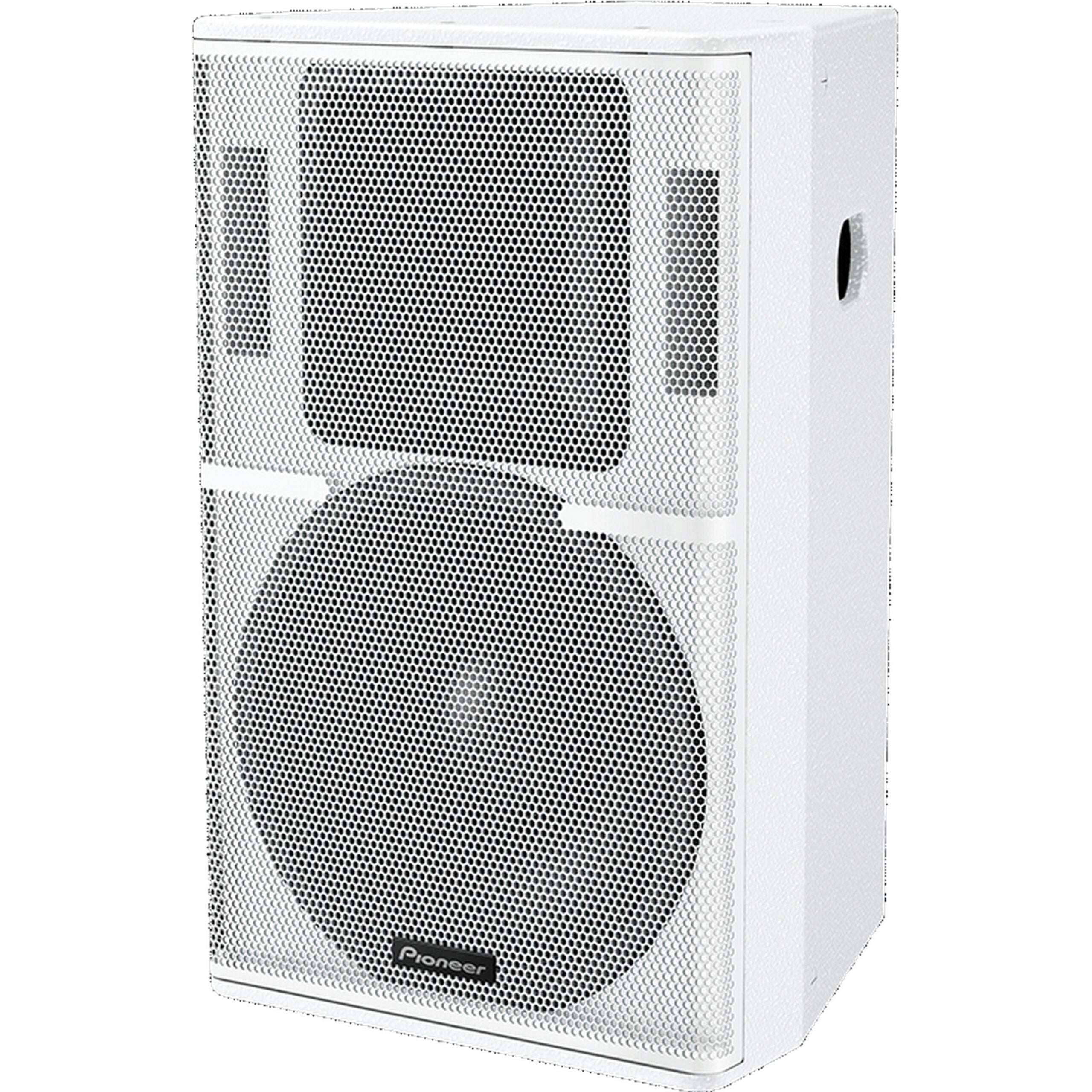 Pioneer Pro Audio XY-152 15-Inch Two-Way Full-Range Loudspeaker