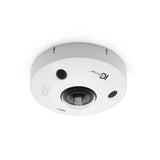 IC Realtime IPEL-F12F-IRW2 12MP IP Indoor/Outdoor Spherical Dome with Fisheye Lens