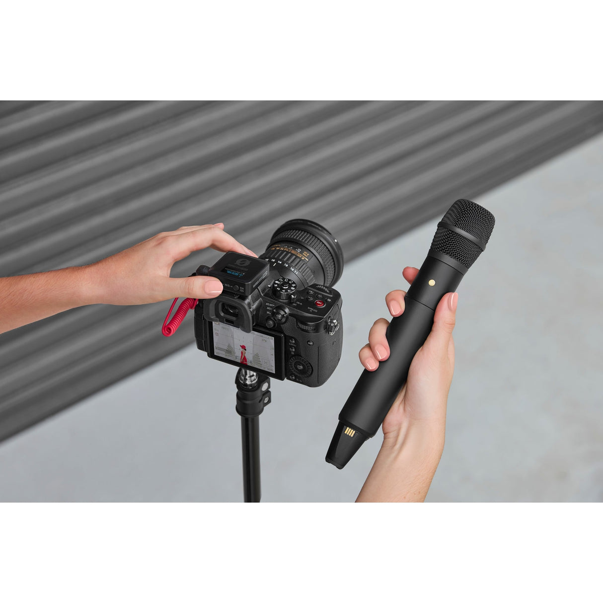 RODE Interview PRO Omnidirectional Wireless Handheld Condenser microphone