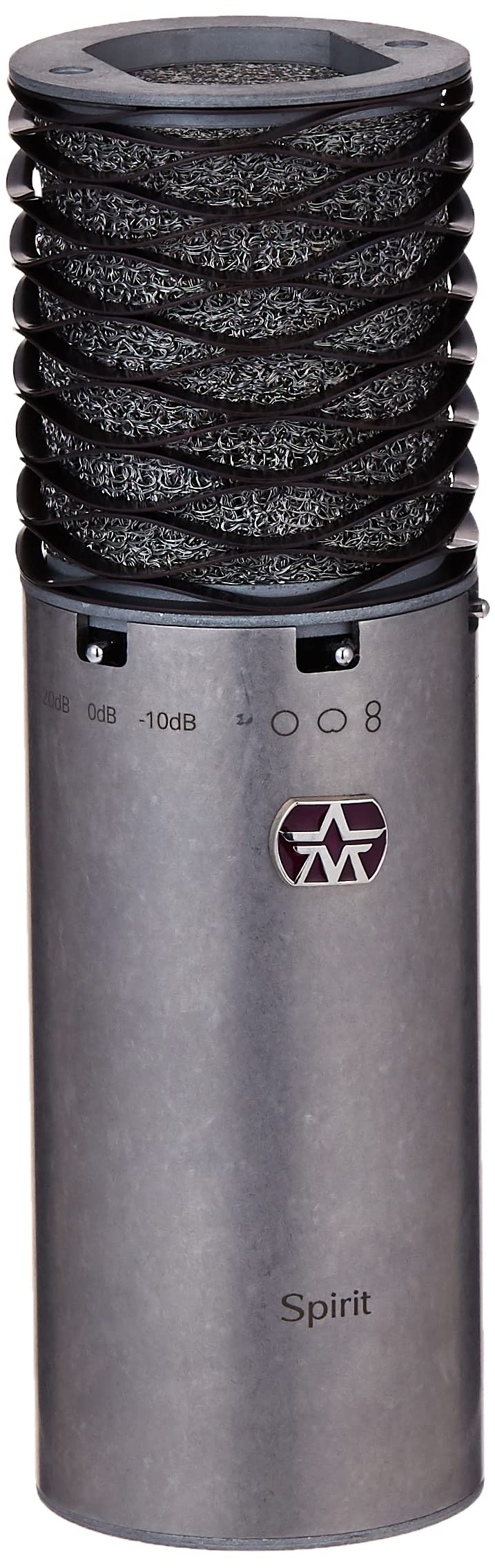 Aston Microphones Spirit High-Performance Switchable Pattern Condenser Microphone