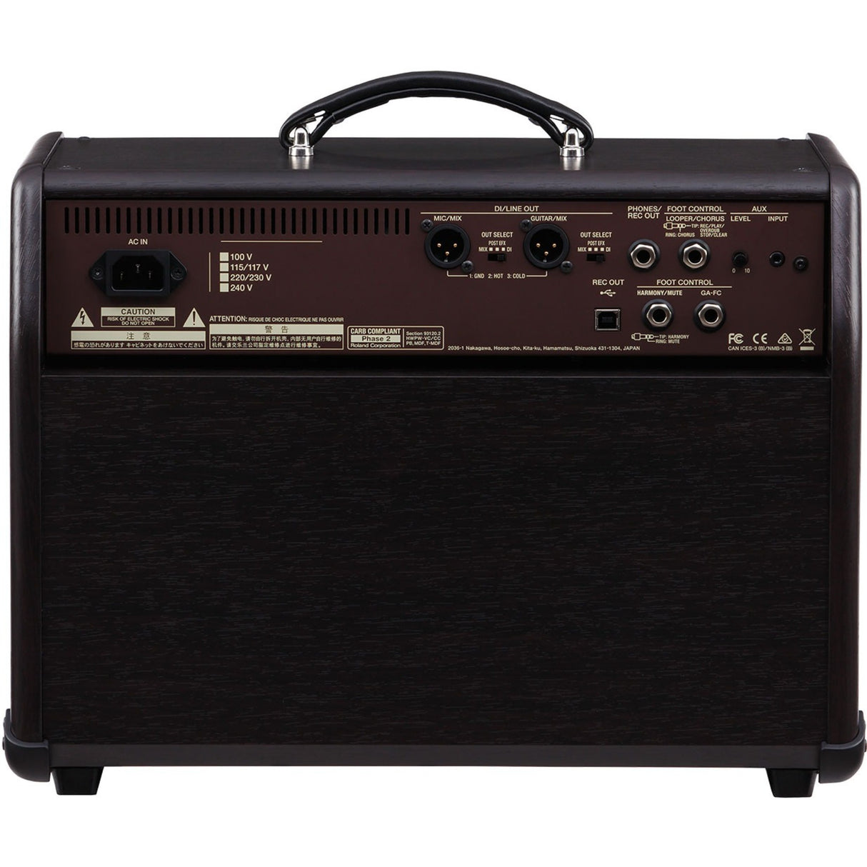BOSS - BOSS Acoustic Singer Pro 120W Acoustic Guitar & Vocal Amplifier - ACS-PRO