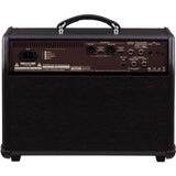 BOSS - BOSS Acoustic Singer Pro 120W Acoustic Guitar & Vocal Amplifier - ACS-PRO