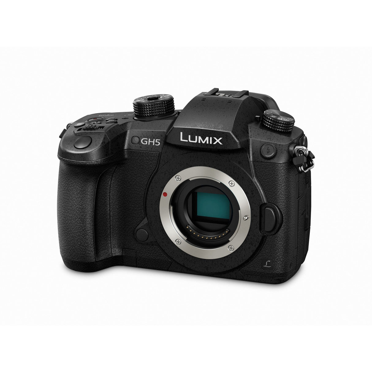 Panasonic LUMIX DC-GH5S Mirrorless Camera, Body Only